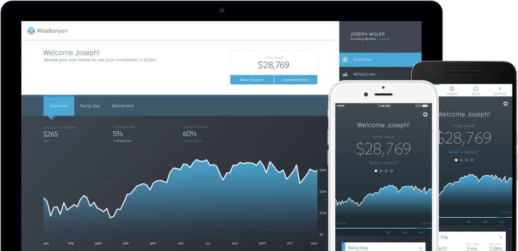 wisebanyan investment management