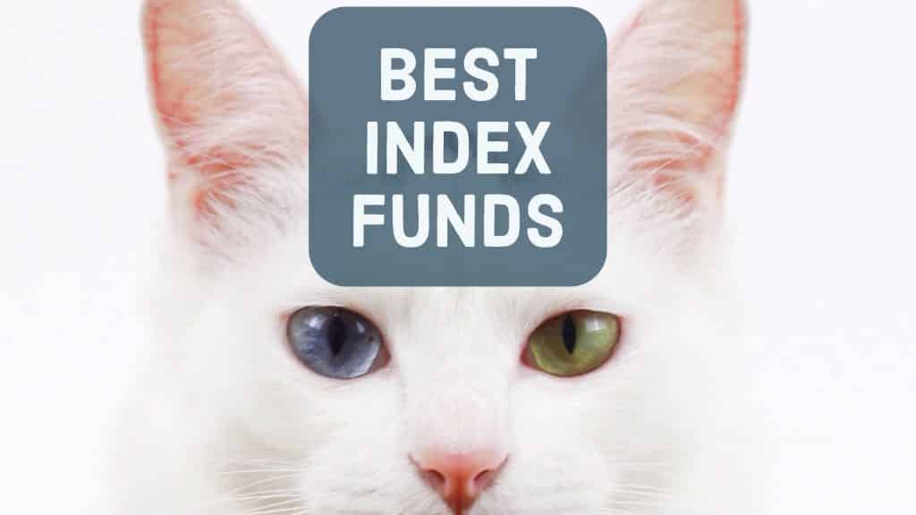 best index funds kitten heterochromia
