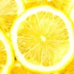 lemonade insurance stock