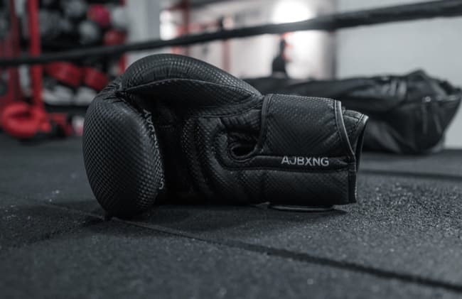 dolph lundgren net worth